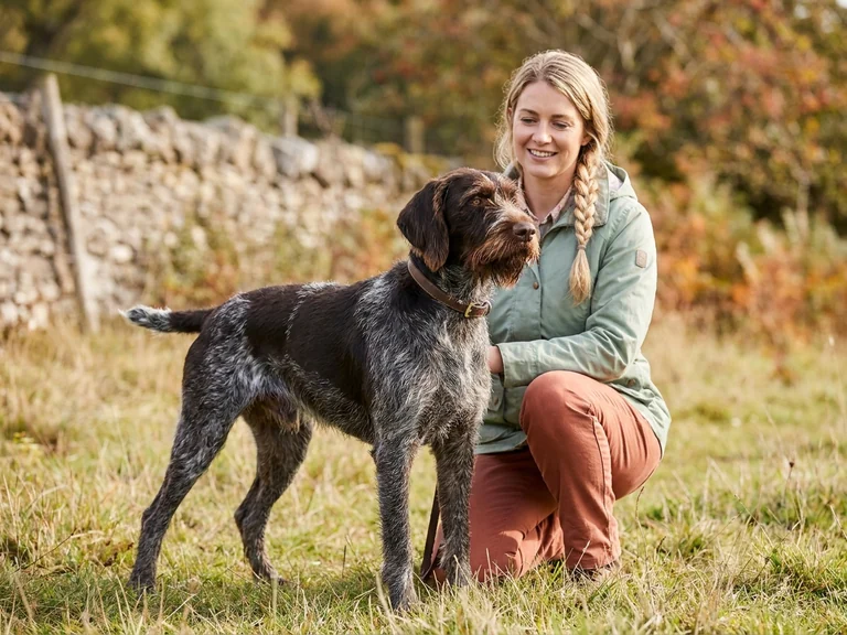 German Wirehaired Pointer breed thumbnail