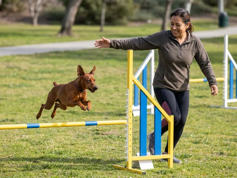 Miniature Pinscher breed thumbnail